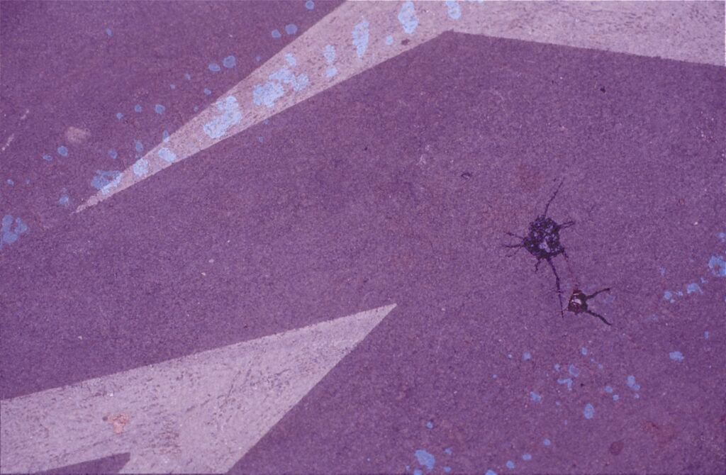 PHROOM // Marco Dapino