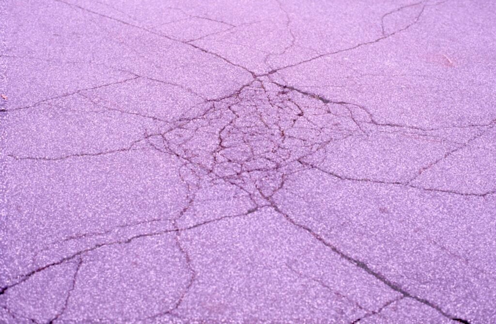 PHROOM // Marco Dapino