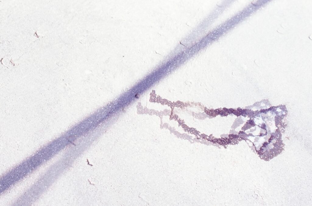 PHROOM // Marco Dapino