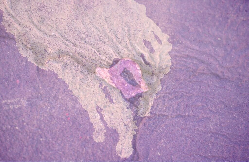 PHROOM // Marco Dapino