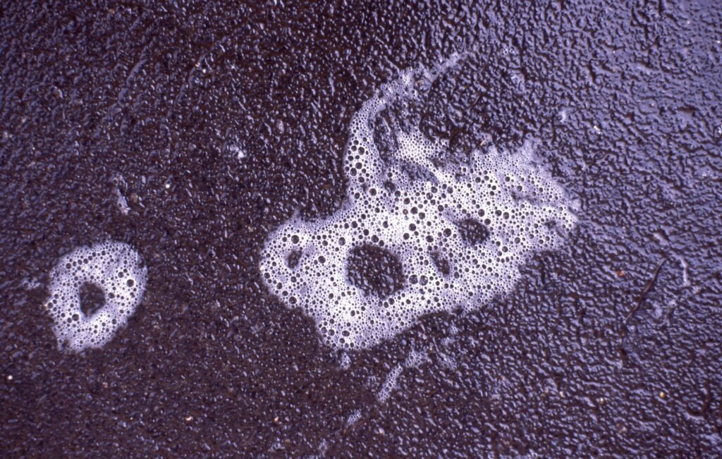 PHROOM // Marco Dapino