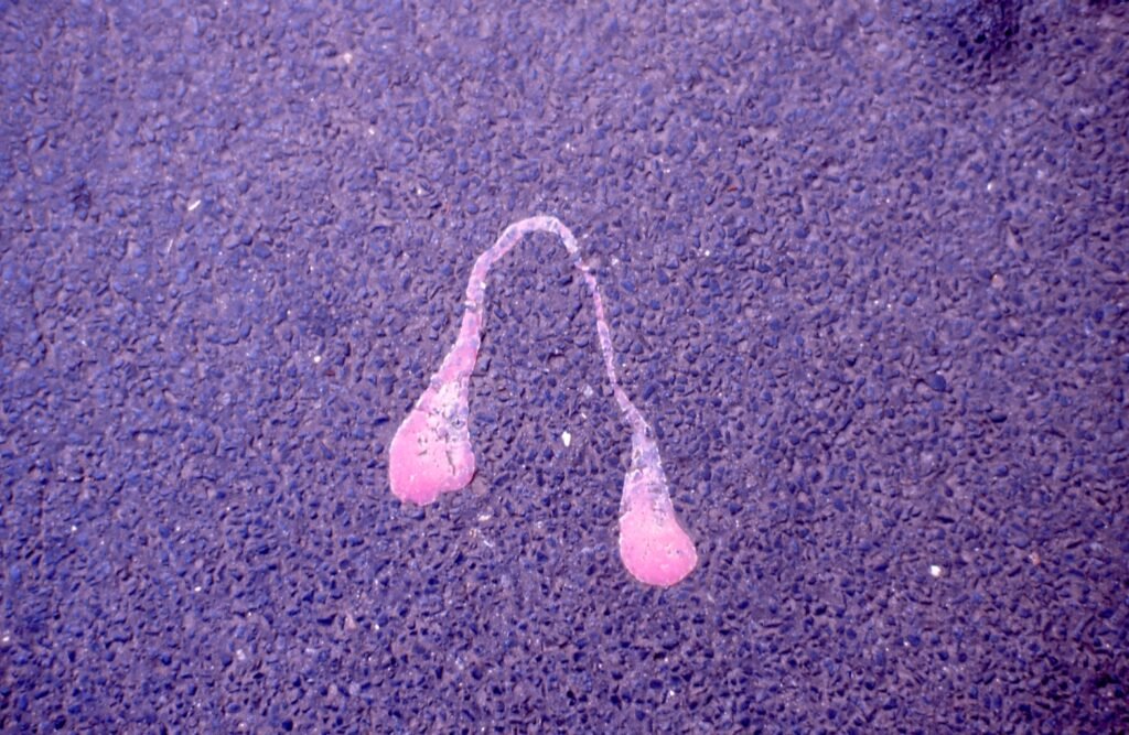 PHROOM // Marco Dapino