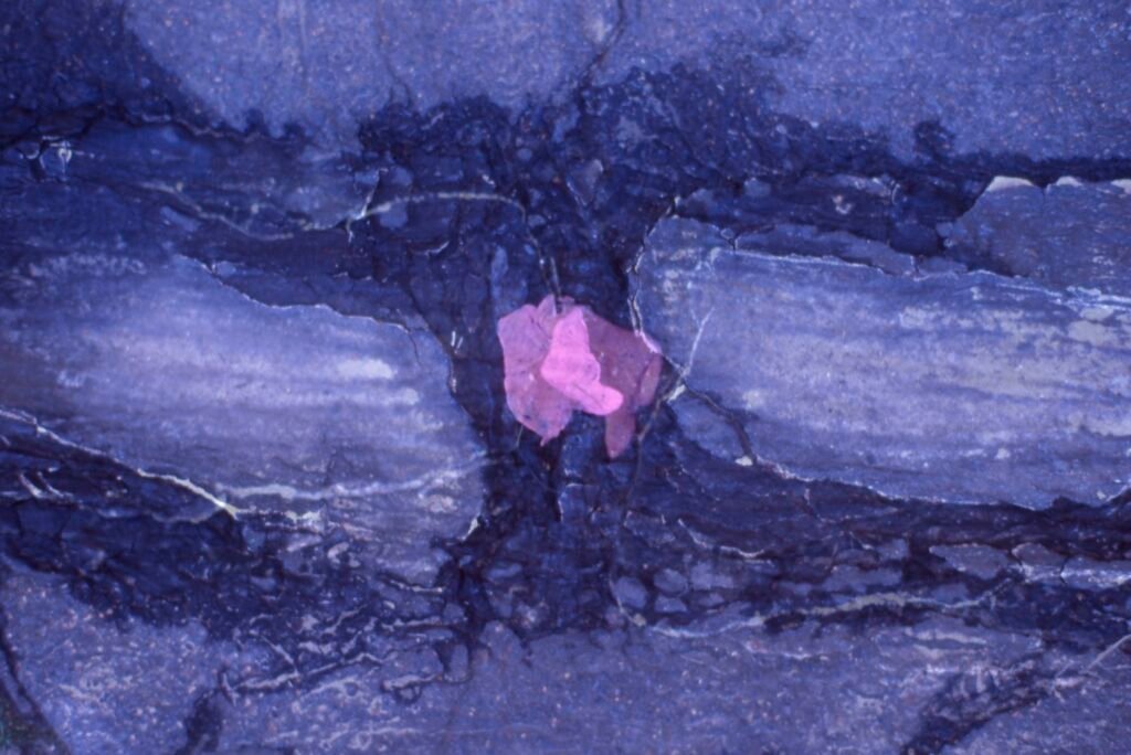 PHROOM // Marco Dapino