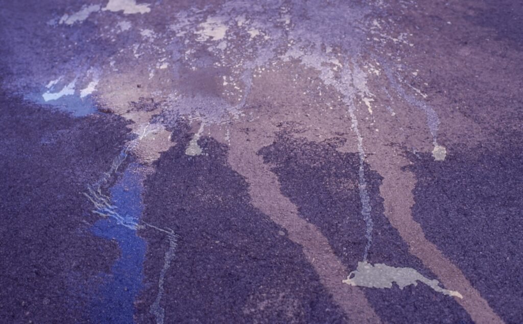 PHROOM // Marco Dapino