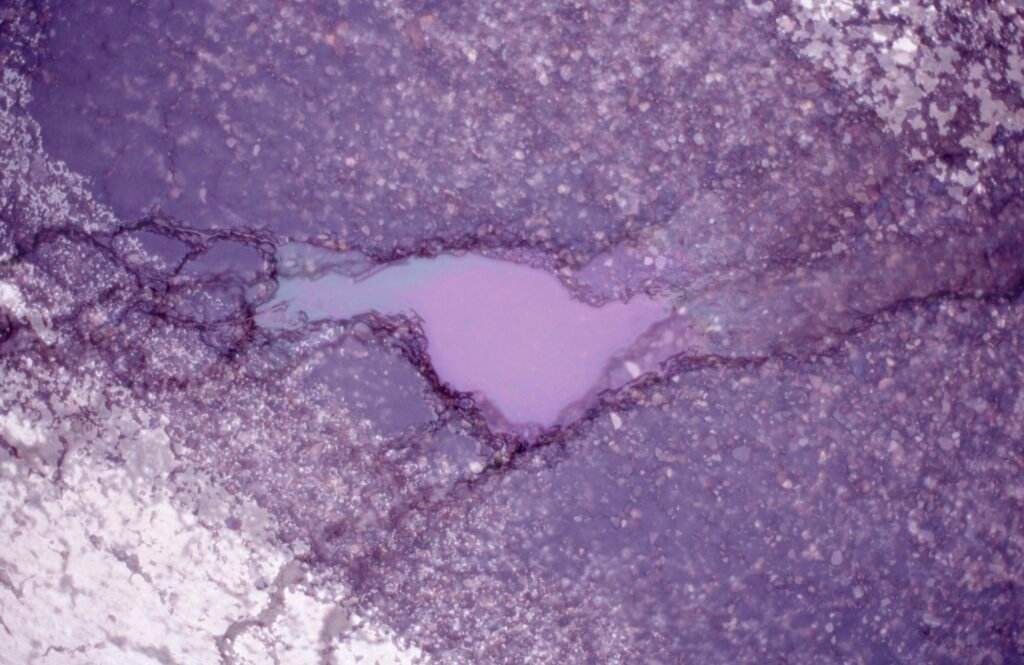 PHROOM // Marco Dapino