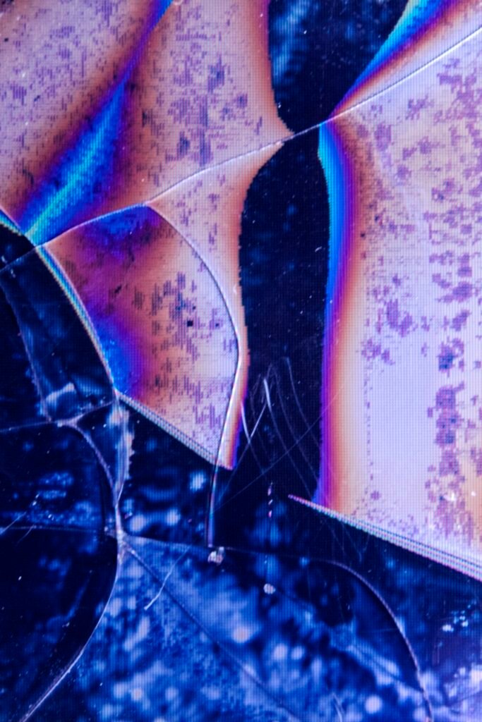 PHROOM // Lisa Barnard