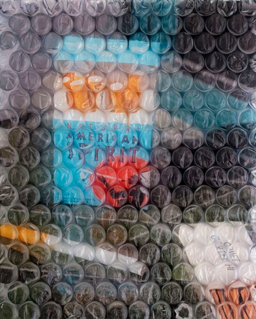 PHROOM // Rosie Clements