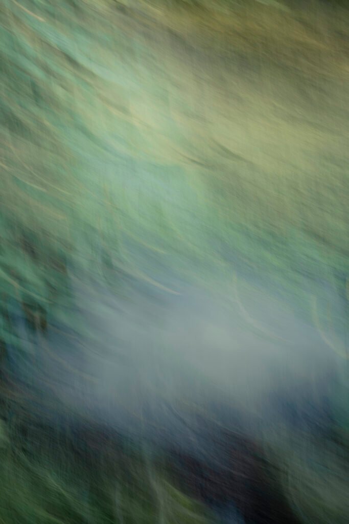 PHROOM // Alice Jankovic