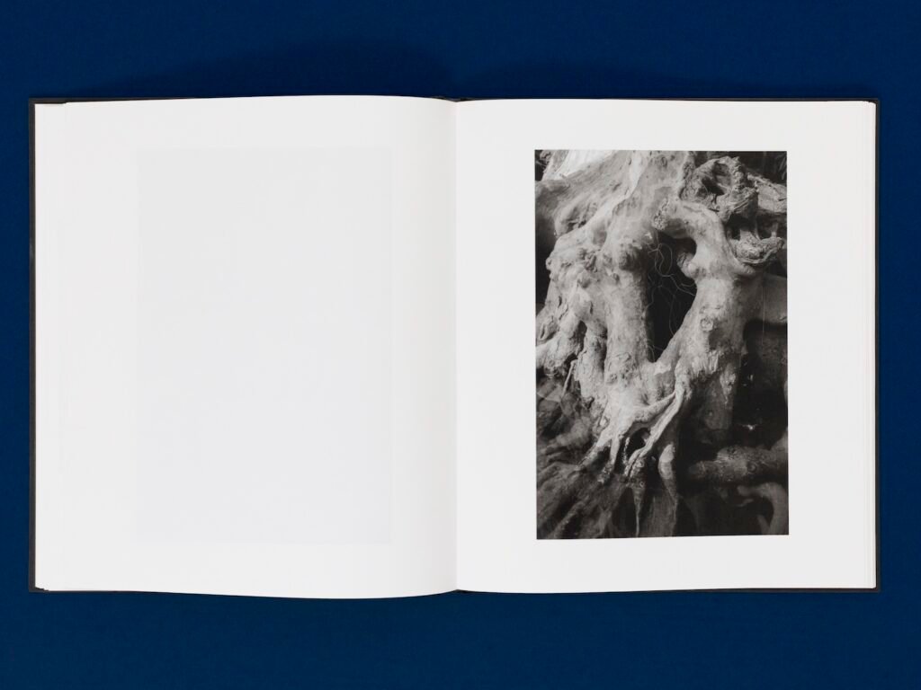 PHROOM // Caleb Stein, Down by the Hudson