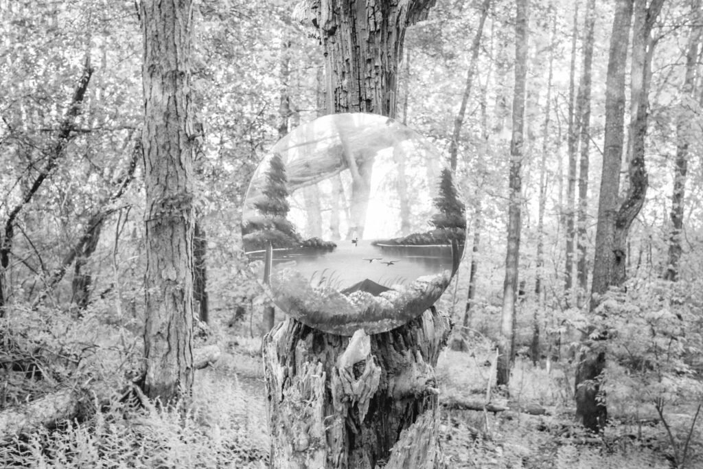 PHROOM // Caleb Stein, Down by the Hudson