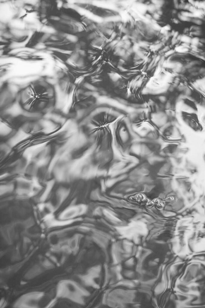 PHROOM // Caleb Stein, Down by the Hudson